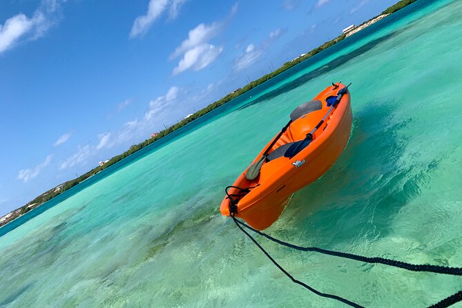 Clear kayak Grand Turk Island Kayak Tour of the mangroves - What you see during the 1 to 2-hour route