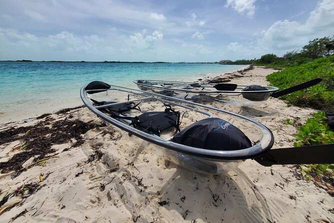 Clear Kayak Mangrove Eco Tour - Key points to know