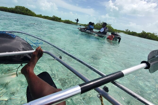 Clear Kayak Mangrove Eco Tour - Clear kayaks over Half Moon Bay’s mangroves