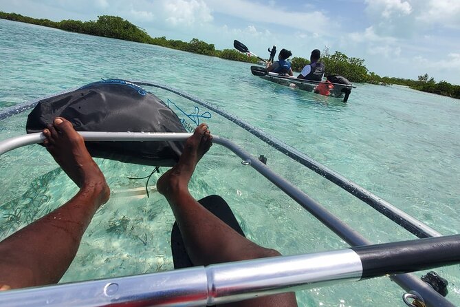 Clear Kayak Mangrove Eco Tour - Little Water Cay and the rock iguana possibility