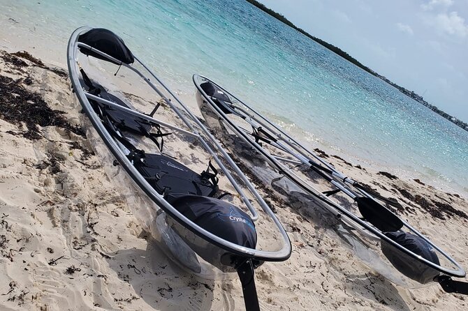Clear Kayak Mangrove Eco Tour - How the $240 price works for two people