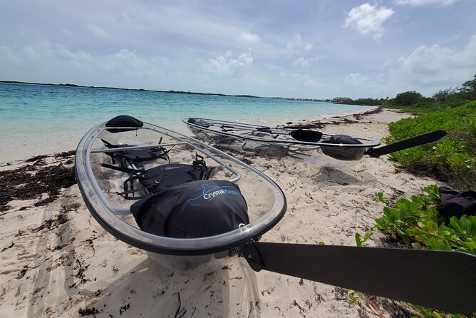 Clear Kayak Mangrove Eco Tour - The guide and the pace of the outing