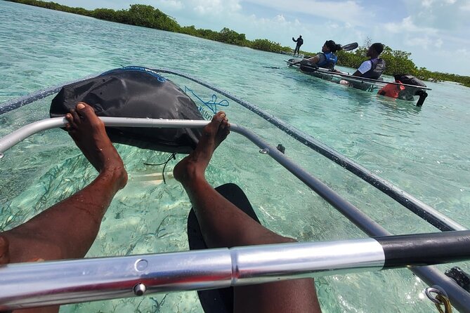 Clear Kayak Mangrove Eco Tour - Who will enjoy this Providenciales kayak tour