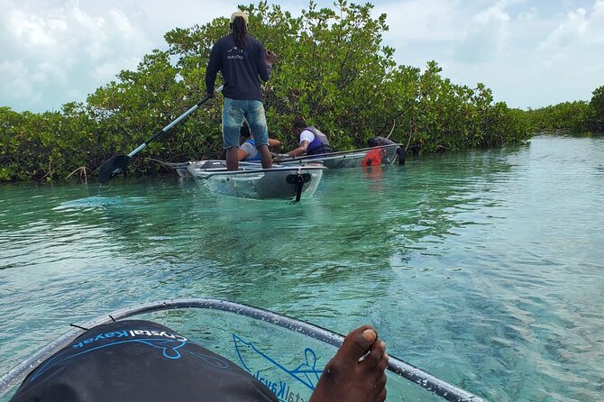 Clear Kayak Mangrove Eco Tour - Pickup, tickets, and weather