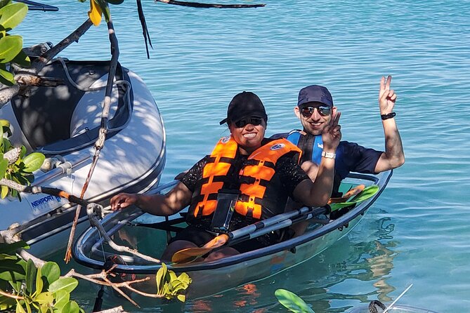 Clear Kayak Tour in Turks & Caicos Islands - Group size, comfort, and family planning