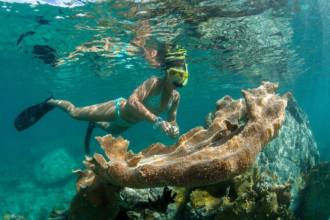 Deluxe Half-Day Snorkel Sail on Lady Grace Luxury Catamaran - Lunch, the open bar, and the rhythm after snorkeling