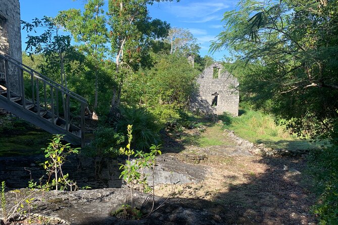 Discovery Tour and Treasure Hunt ( North and Middle Caicos) - Flamingo Pond Overlook and a quiet start