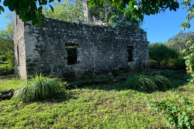 Discovery Tour and Treasure Hunt ( North and Middle Caicos) - Cottage Pond and the island below the surface