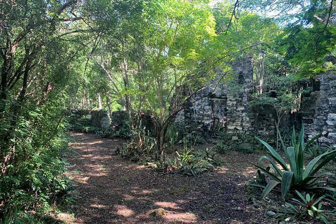 Discovery Tour and Treasure Hunt ( North and Middle Caicos) - Lunch with a view at Dragon Cay