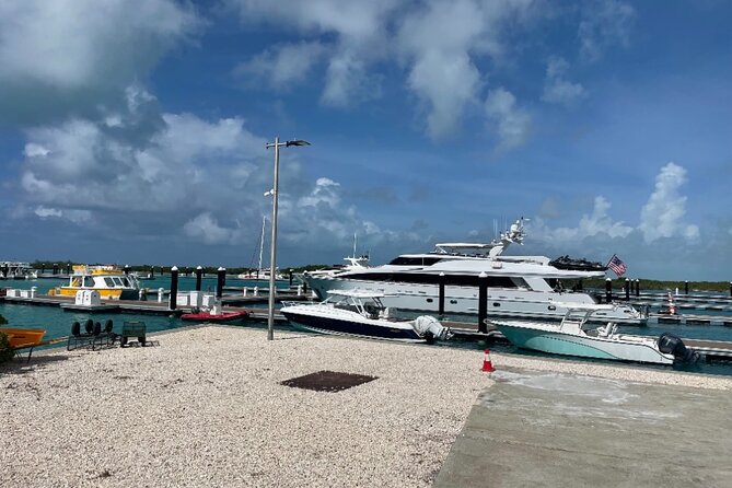 Famous East Island UTV Tour - Starting at Turtle Cove Marina