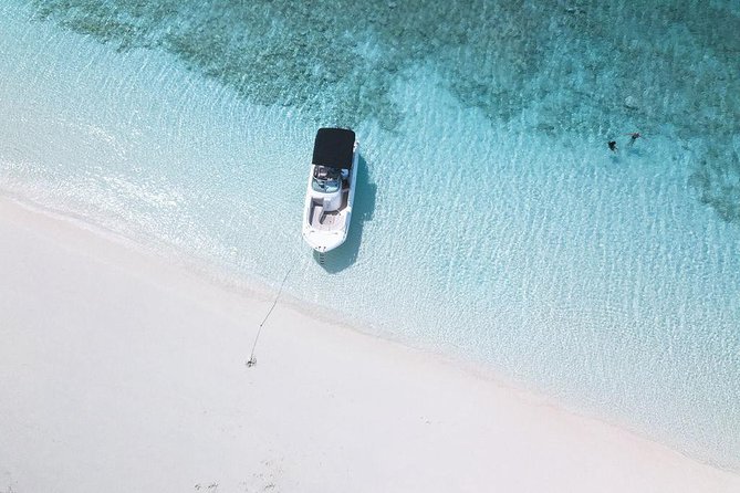 Full day 7hours- beach bbq, snorkel, Iguana island, half moon bay pine cay, Fun! - Why a private boat changes the value