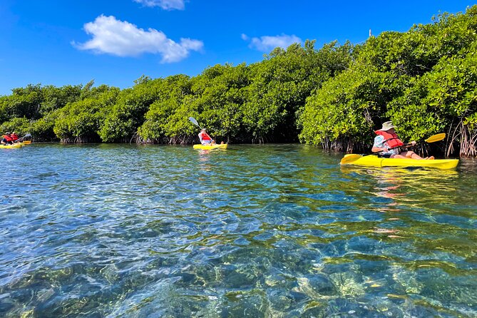 Full Day Clear Kayak Rental Grand Turk - Clear Kayaks in Grand Turk, What You Are Really Booking