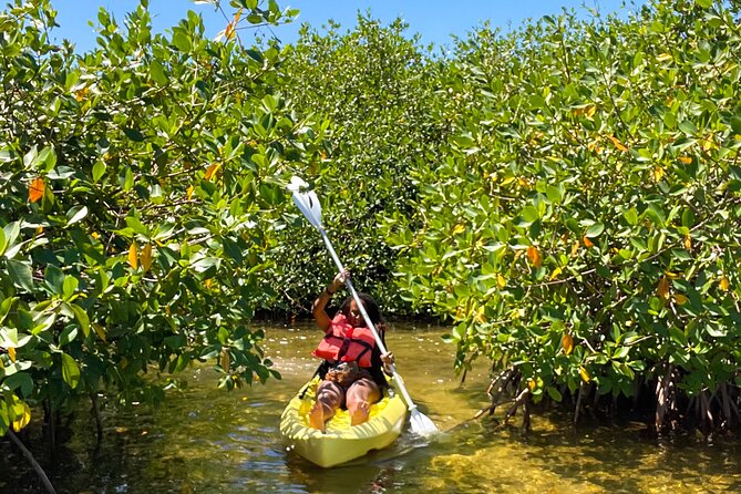 Full Day Clear Kayak Rental Grand Turk - Mangroves Require More Than a Basic Rental
