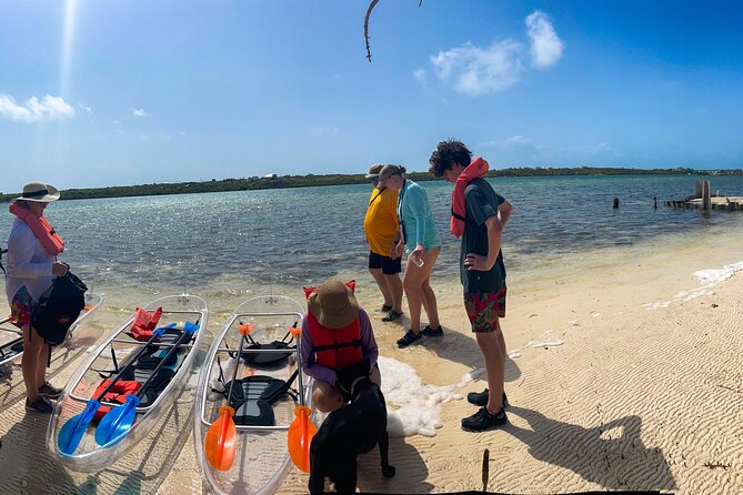 Full Day Clear Kayak Rental Grand Turk - Wildlife Without a Motor