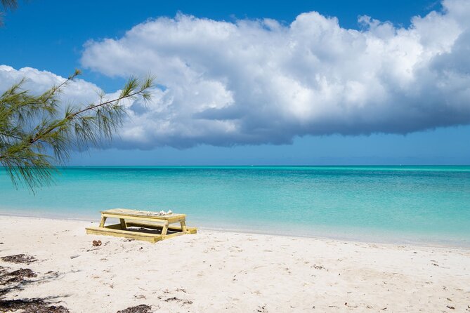 Full Day Cruise from Providenciales with Snorkeling and BBQ Lunch - Iguana Island and the native Rock Iguanas