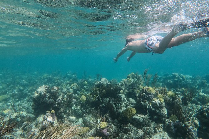 Full Day Cruise from Providenciales with Snorkeling and BBQ Lunch - Pine Cay reef and the final reef stop