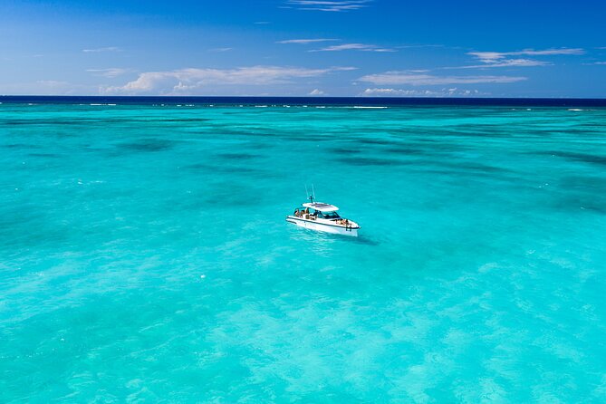 Full-day Private Tour in Turks and Caicos in a Luxury Axopar - West Caicos for snorkeling and lunch at Omar’s Beach