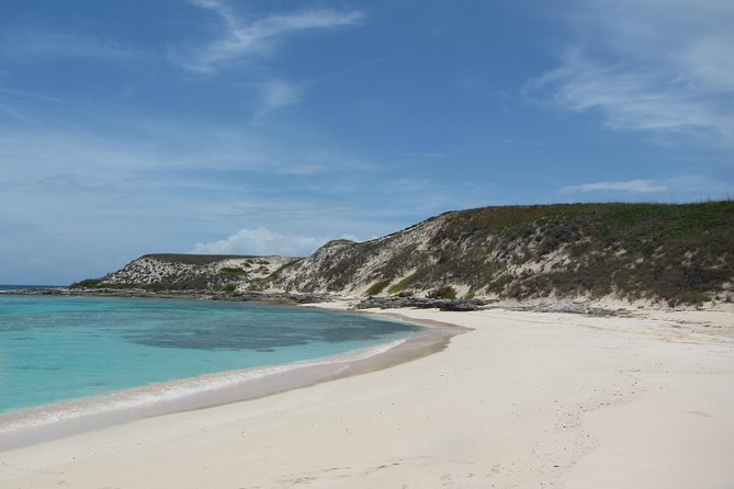 Gibbs Cay Stingray and Conch Dive Adventure - A 20-minute cruise to Gibbs Cay