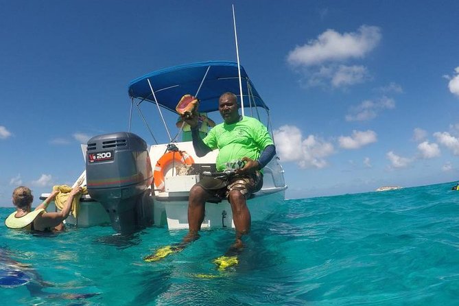 Gibbs Cay Stingray and Conch Dive Adventure - Who should book this Grand Turk outing