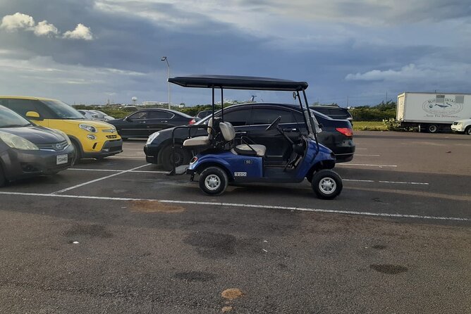 Golf Cart Adventure MaxKart Auto Rentals - The biggest issue: cart condition