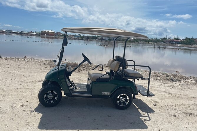 Grand Turk Golf Cart Rentals (CACTUS CARTS) - Finding the pickup point outside the cruise port