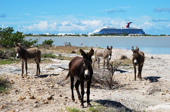 Grand Turk Historical Sightseeing Tour by Tram - Riding across the island in the open air
