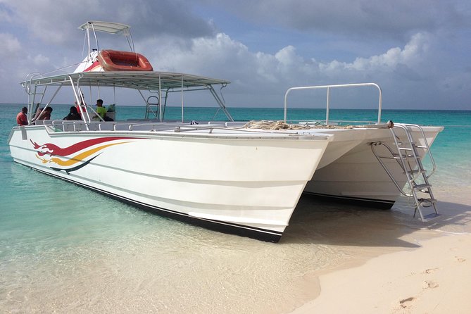 Grand Turk: Whale Watching - Rum punch, snacks, and a practical half-day pace