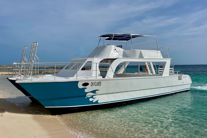 Grand Turk: Whale Watching - What the $200 price really covers