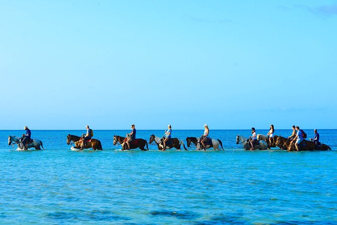 Group Beach and Ocean Horseback Adventure in Providenciales - Why riding into the Providenciales sea is the main event