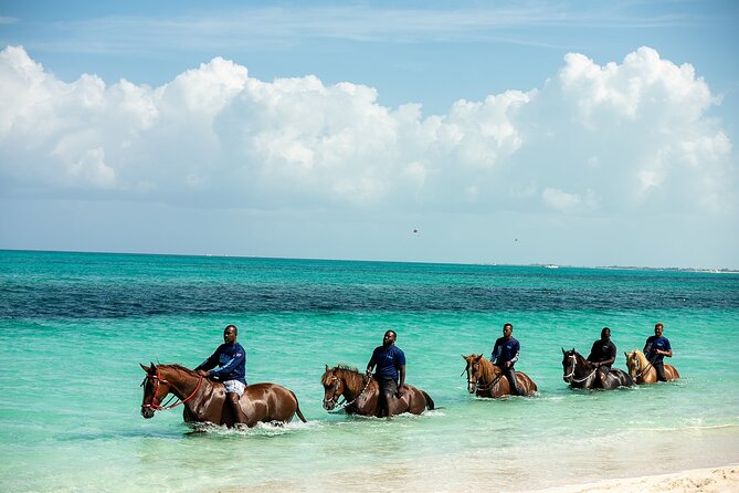 Group Beach and Ocean Horseback Adventure in Providenciales - Entering the clear water with your horse