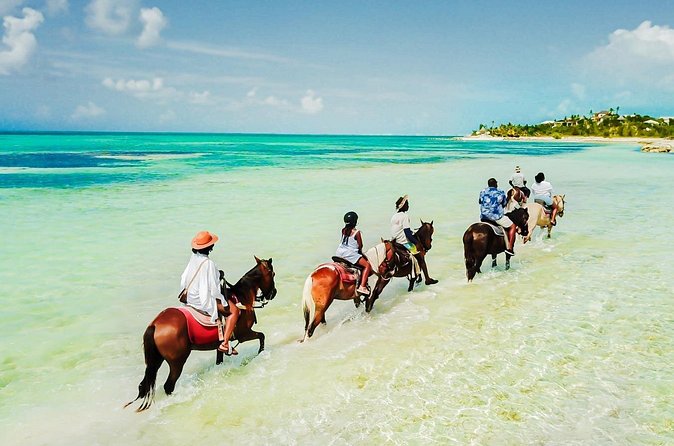 Group Beach and Ocean Horseback Adventure in Providenciales - What the guides add to the experience