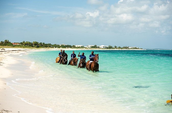 Group Beach and Ocean Horseback Adventure in Providenciales - Price, duration, and what the $254 covers