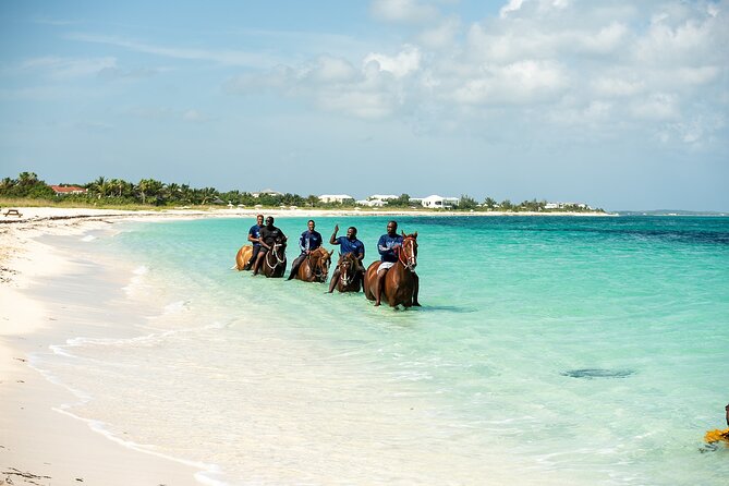 Group Beach and Ocean Horseback Adventure in Providenciales - Who will enjoy this ride most