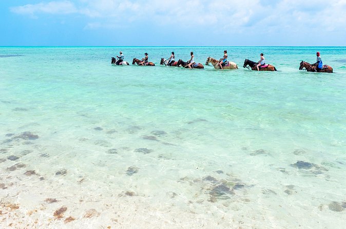 Group Beach and Ocean Horseback Adventure in Providenciales - Weather and cancellation details you should not overlook