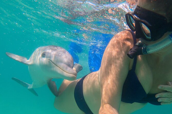 Group Reef, Beach and Sandbar Tour from Providenciales - Half Moon Cay and the rock iguanas