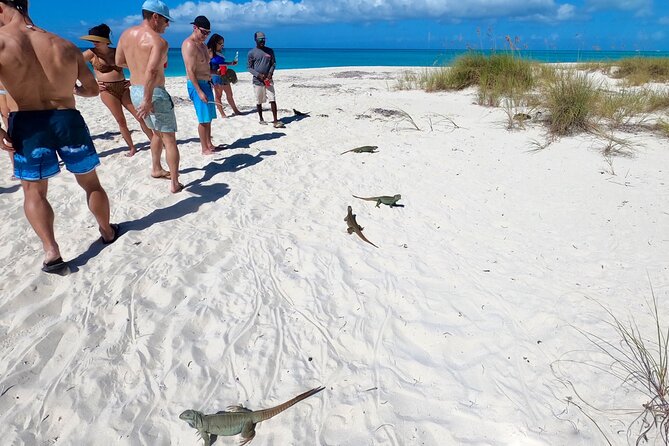 Group Reef, Beach and Sandbar Tour from Providenciales - Pine Cay and Sand Dollar Cove’s shallow water