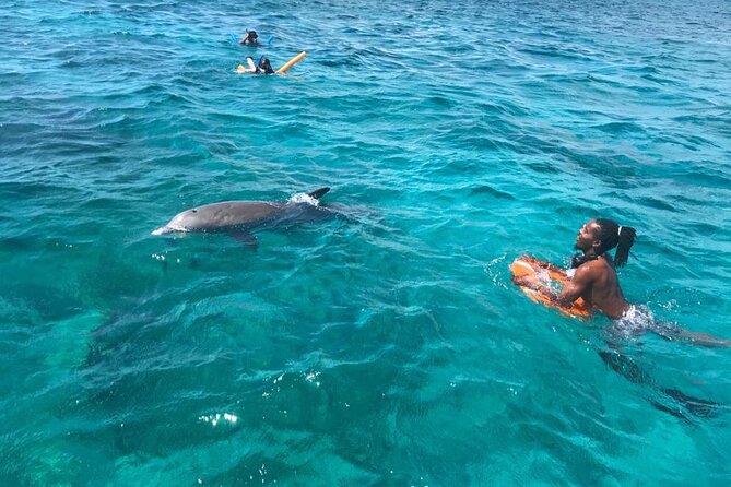 Group Reef, Beach and Sandbar Tour from Providenciales - Sandwiches, fruit, and a surprisingly useful open bar