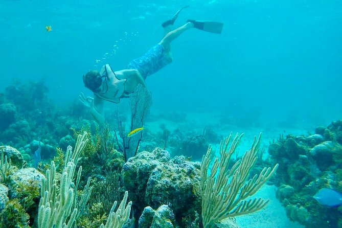 Group Reef, Beach and Sandbar Tour from Providenciales - Is $145.84 a fair price?