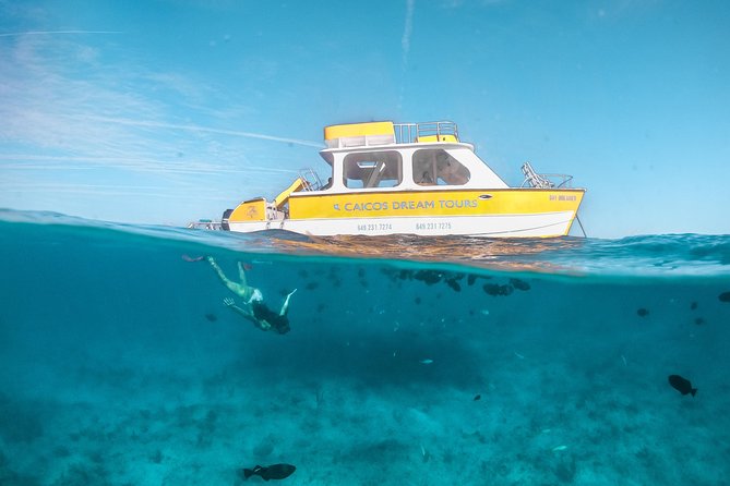 Half Day Private Boat Charter at Grace Bay, Providenciales - Why this four-hour charter works so well