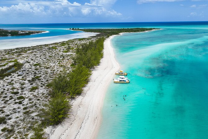 Half Day Private Boat Charter at Grace Bay, Providenciales - Conch hunting and a fresh island lunch