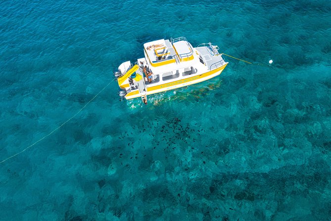 Half Day Private Boat Charter at Grace Bay, Providenciales - Who will enjoy this most?
