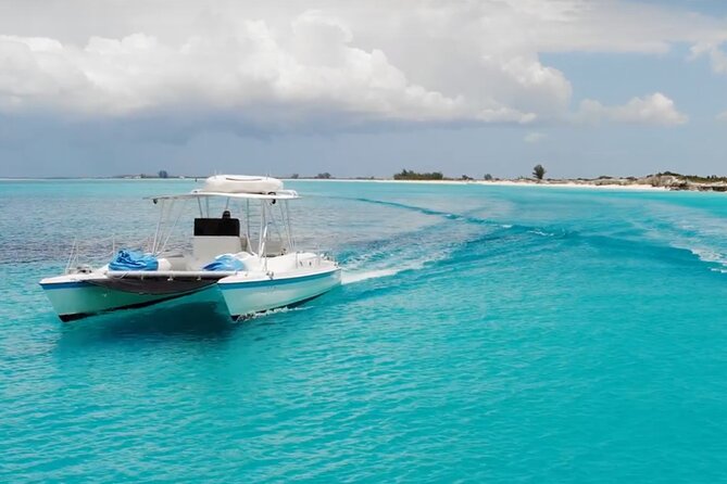 Half Day Private Charter of the Caicos Cays - Half Moon Bay and the Endemic Iguanas