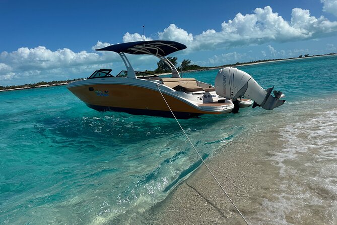Half Day Private Sun and Snorkel exploring the Turks and Caicos - Iguana Island and the quieter side of the islands