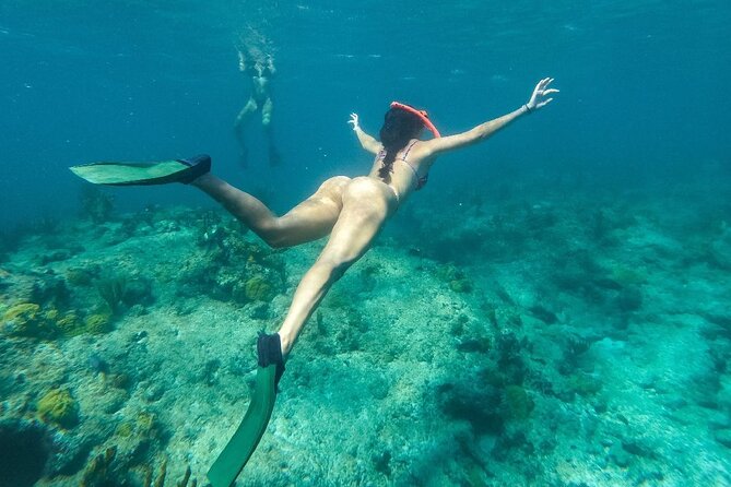 Half Day Snorkel from Providenciales with Visit to Half Moon Bay - What to expect at Leeward Reef