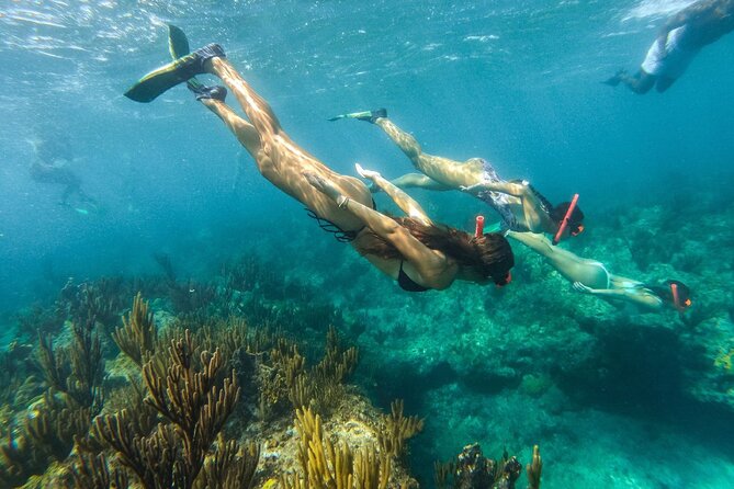 Half Day Snorkel from Providenciales with Visit to Half Moon Bay - Food, rum punch, and what is actually included