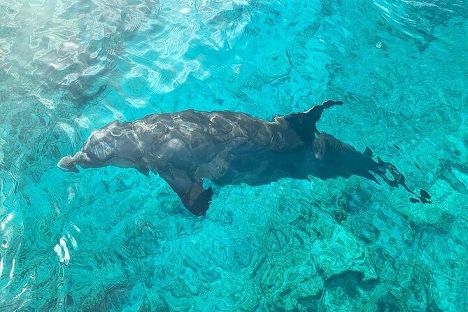Half Day Snorkeling, Sightseeing & Island Hopping Private Charter - Who should book this excursion