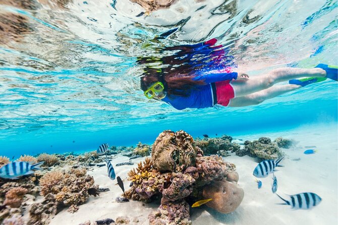 Half Moon Bay Jet Ski Tour & Snorkeling the La Famille Shipwreck - What the guide adds to the ride