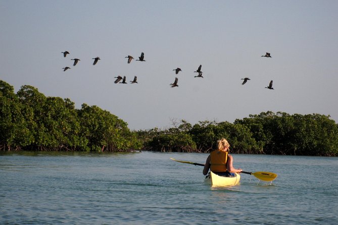 Kayak Eco Tour - Paddling, walking, and swimming at the beach