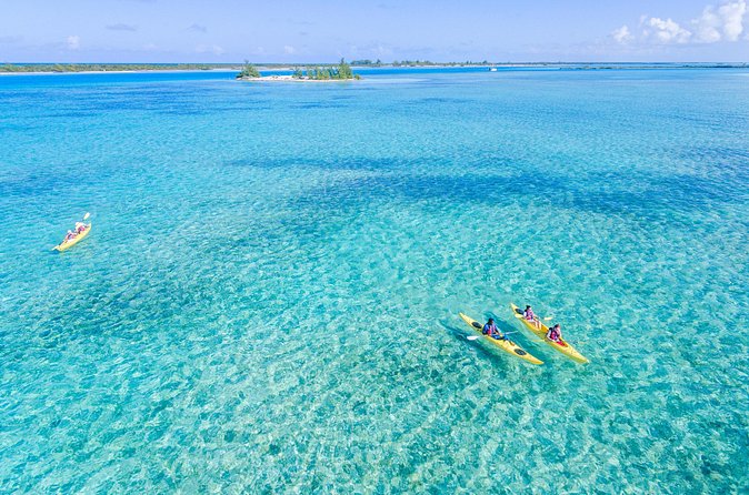 Kayak Eco Tour - How the tide and weather affect the day
