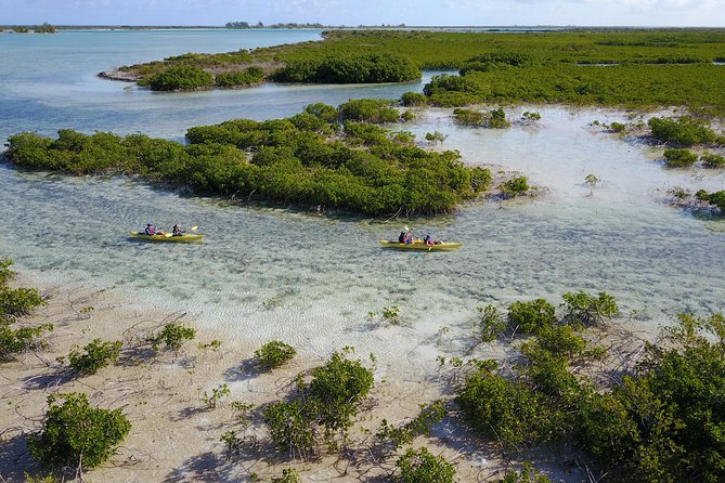 Kayak Eco Tour - Is $296 per person a fair price?